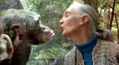 Jane Goodall