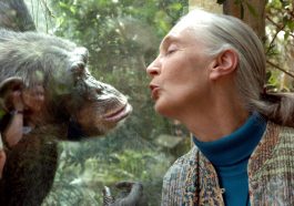 Jane Goodall