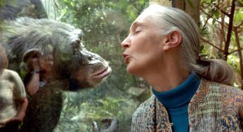 Truth Behind Jane Goodall’s Death Leaves Fans Heartbroken